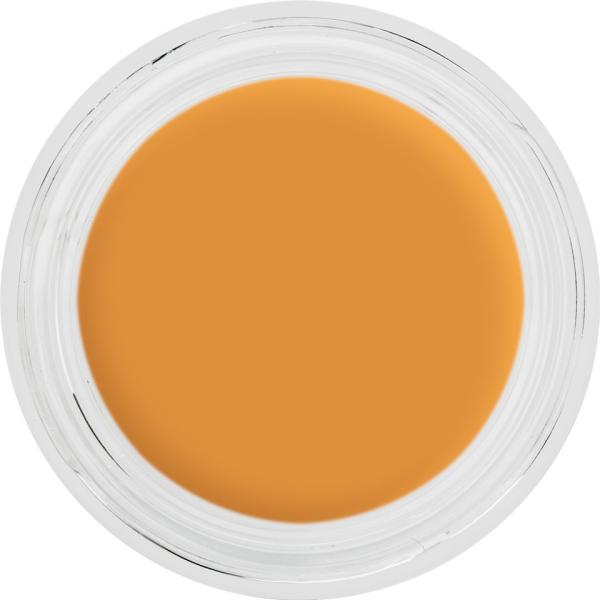 Digital Complexion Cream Foundation - 12 g - Y27